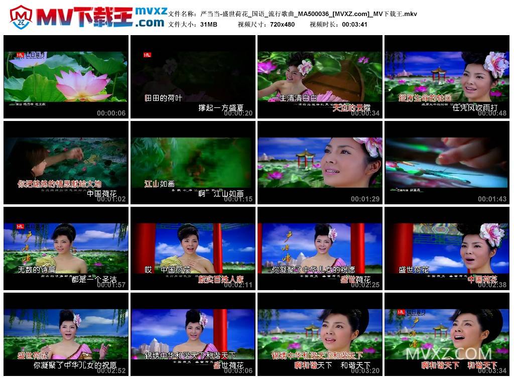 严当当-盛世荷花_国语_流行歌曲_MA500036